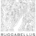 2010 Ruggabellus Fluus