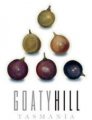 2012 Goaty Hill Riesling