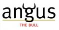 2012 Angus The Bull Cabernet Sauvignon