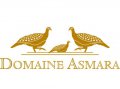 2012 Domaine Asmara Viognier